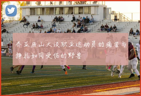 乔亚历山大谈职业运动员的痛苦与挣扎如同受伤的野兽