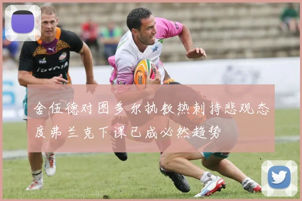 舍伍德对图多尔执教热刺持悲观态度弗兰克下课已成必然趋势