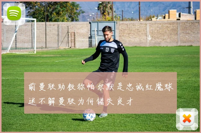 前曼联助教称帕尔默是忠诚红魔球迷不解曼联为何错失良才